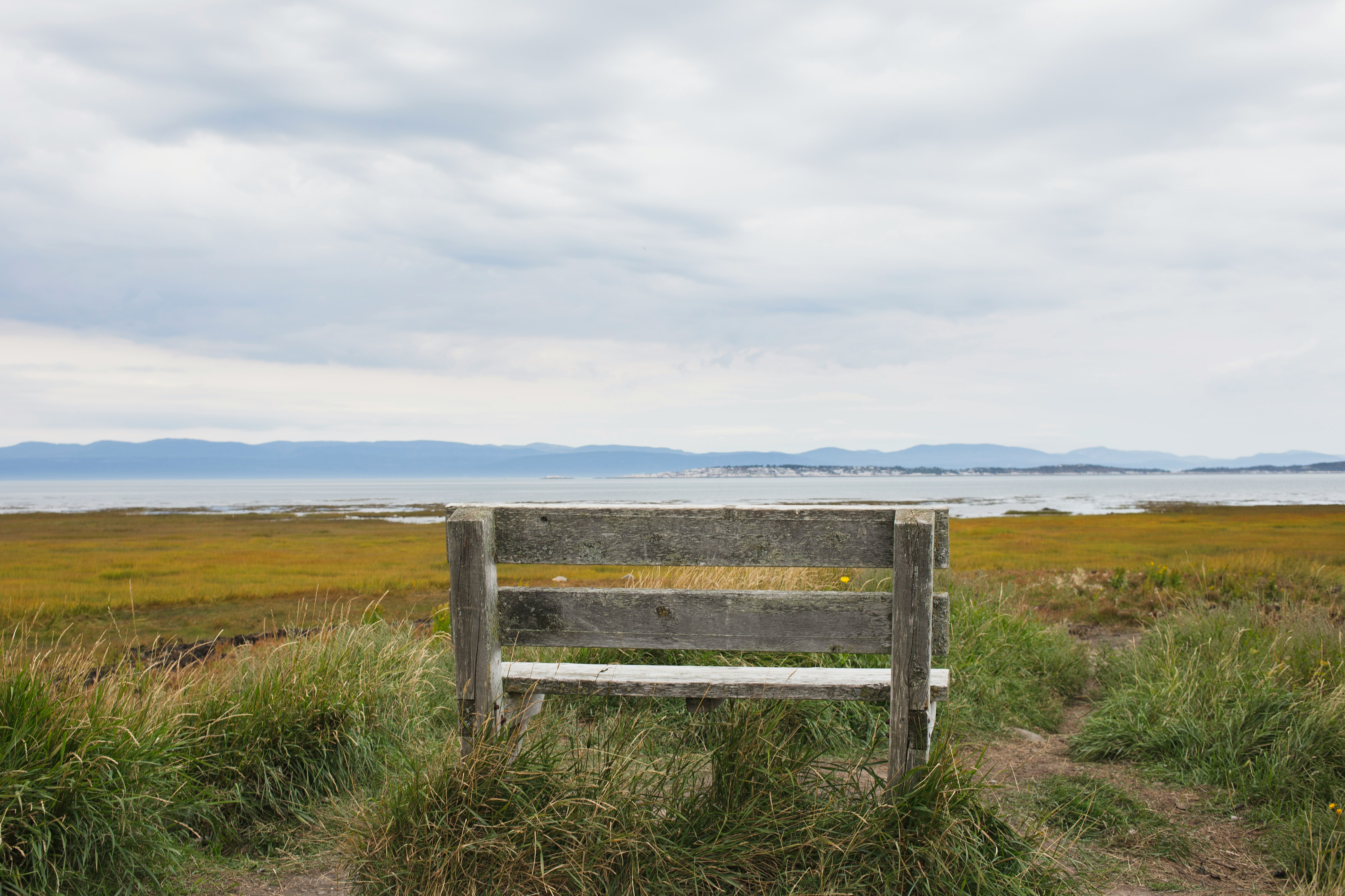 brown wooden bench on green grass field under white clouds during daytime